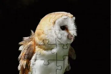 . jigsaw puzzle