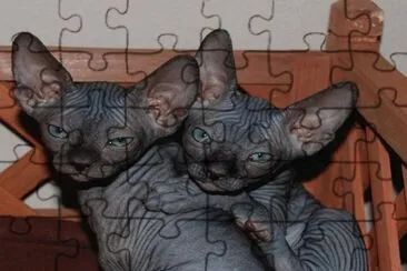 . jigsaw puzzle