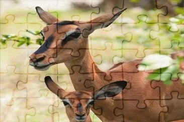 . jigsaw puzzle