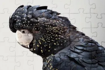 . jigsaw puzzle
