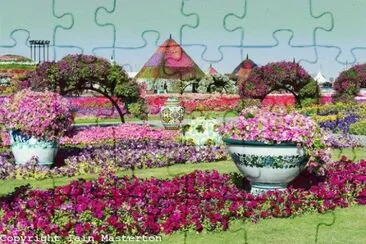 Dubai Miracle Garden