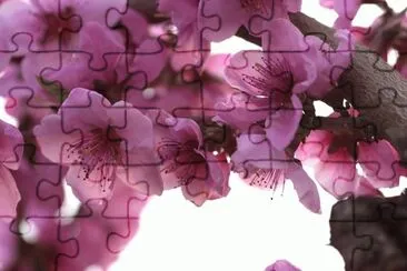 b jigsaw puzzle