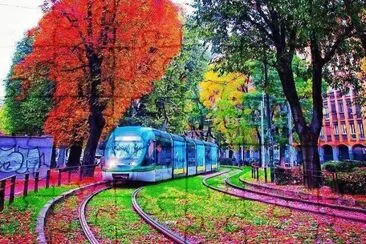 ÃRBOLES Y TREN EN ITALIA.