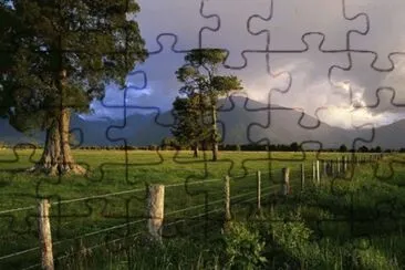 - paisagem,(oo9)