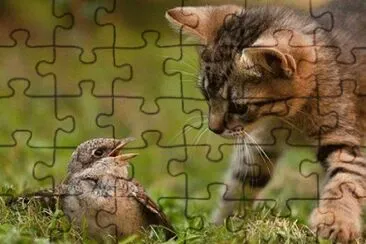 - o que serÃ¡ isso?