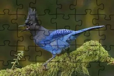 - sou lindo!!! jigsaw puzzle