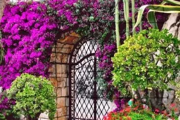 Exotic Garden in Monaco jigsaw puzzle