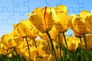 lorenasusi jigsaw puzzle