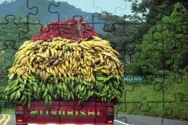 Fruit transportation Panama