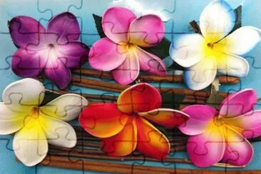  jigsaw puzzle