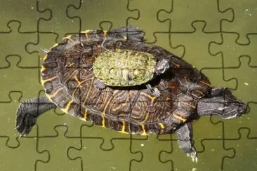 . jigsaw puzzle