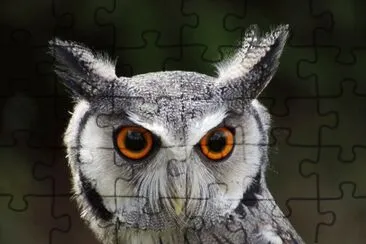 . jigsaw puzzle