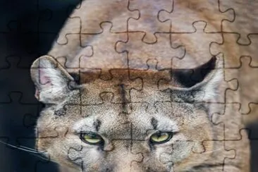. jigsaw puzzle