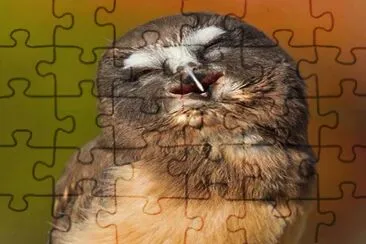 . jigsaw puzzle