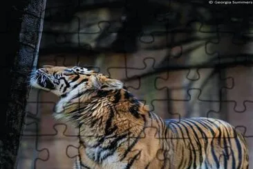 . jigsaw puzzle