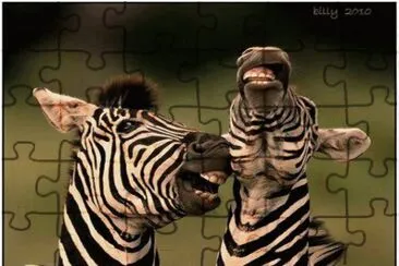 . jigsaw puzzle