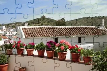 1 jigsaw puzzle