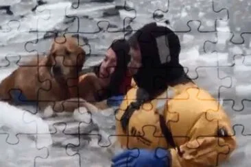 CROSBBY FUE RESCATADO EN BOSTON. jigsaw puzzle