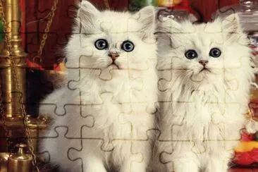 gatets jigsaw puzzle