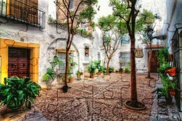 plaza alianza jigsaw puzzle