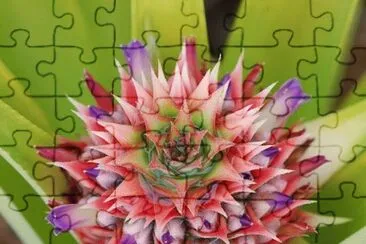 fleurs: jigsaw puzzle