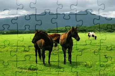 Caballos jigsaw puzzle