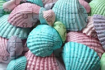 Colored Seashells
