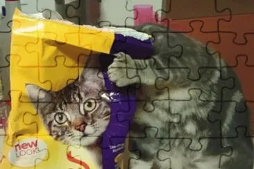 cat jigsaw puzzle