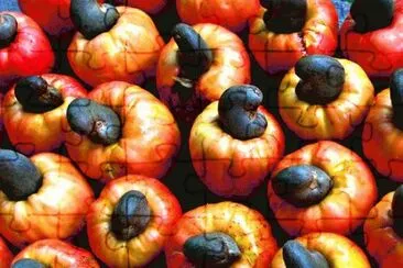 Cashew fruit