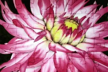 Dahlia jigsaw puzzle