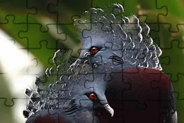 animaux jigsaw puzzle
