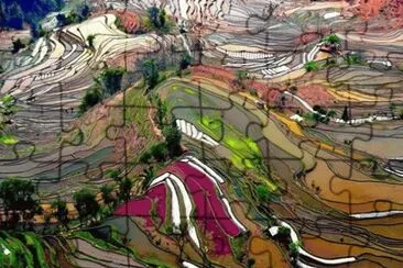 NATURALEZA ARTÃSTICA. jigsaw puzzle