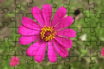 fleur jigsaw puzzle