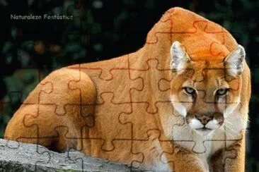 פאזל של MASCOTA DE U.N.A.M.