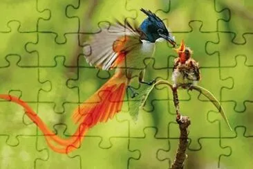- papÃ¡ jigsaw puzzle
