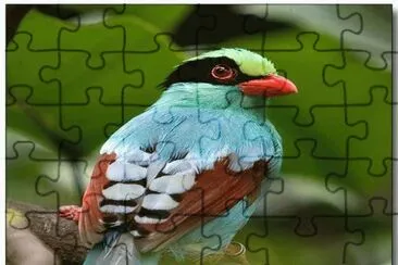 . jigsaw puzzle