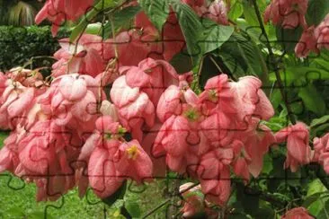 fleurs des iles jigsaw puzzle