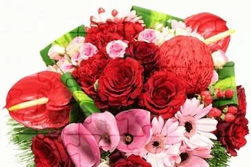 fleurs jigsaw puzzle