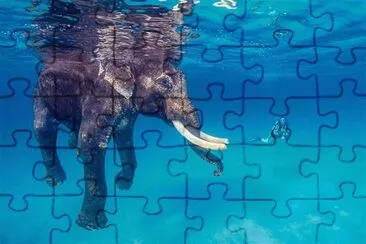 INMERSIÃ“N EN LA INDIA. jigsaw puzzle