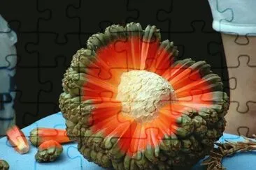Hala Fruit from Hawaii