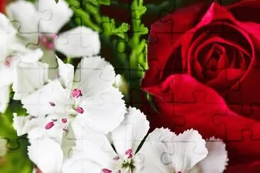 red and white jigsaw puzzle