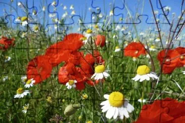 Natura jigsaw puzzle