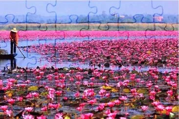 lake in bloom jigsaw puzzle