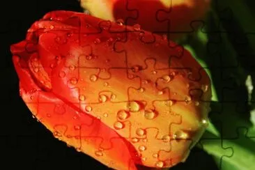 b jigsaw puzzle