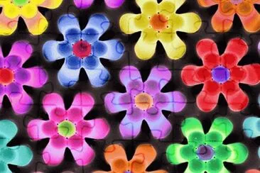 Flores