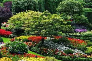 jardim