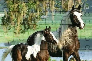 פאזל של cavalos