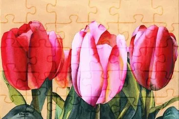Summer Tulips