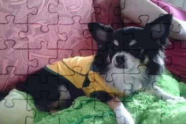 Nick Retorno de Ferias jigsaw puzzle