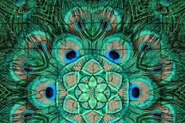 Peacock Feather fractal